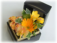 �X�y�V����